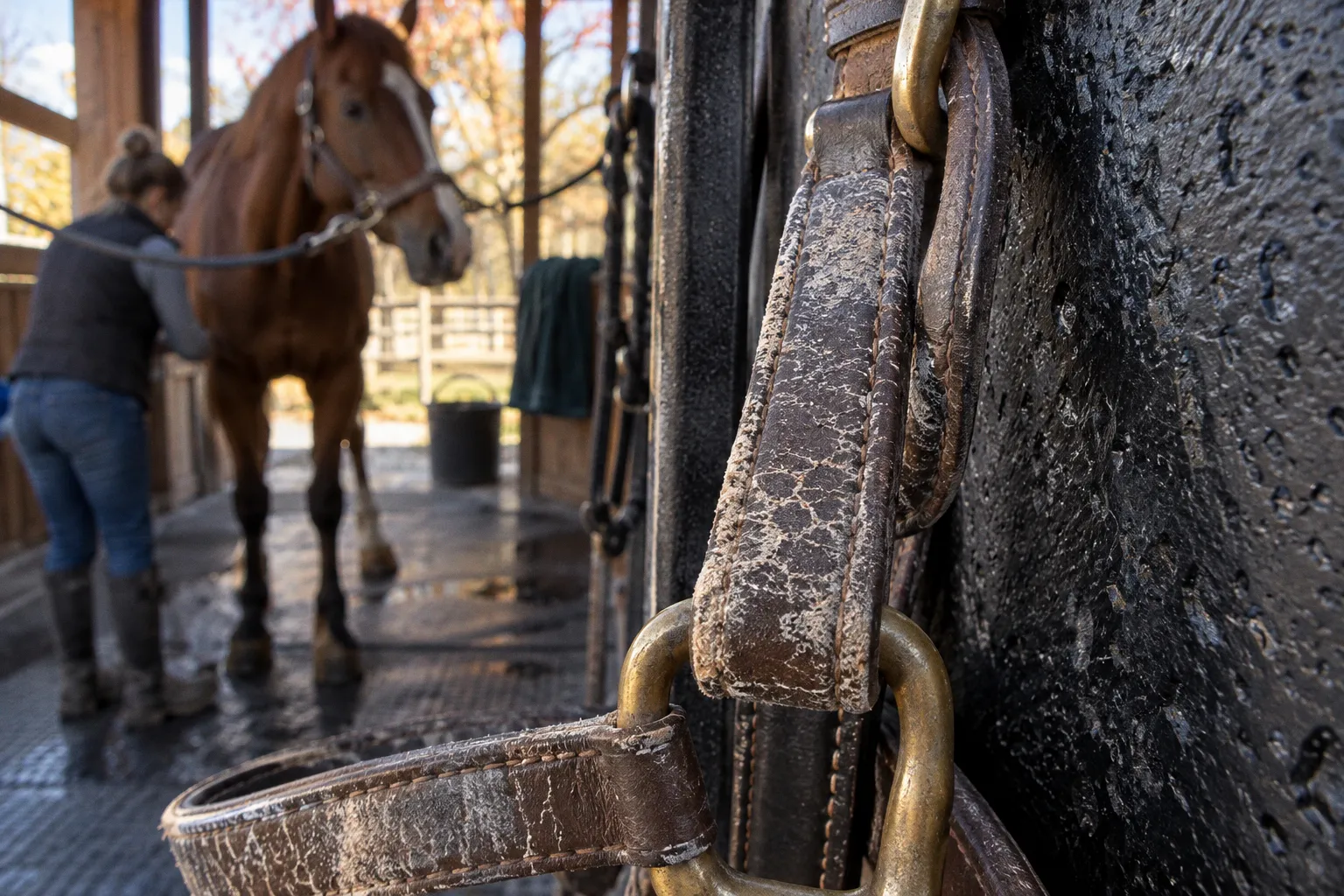 Equine overtraining: recognizing the subtle signs of burnout